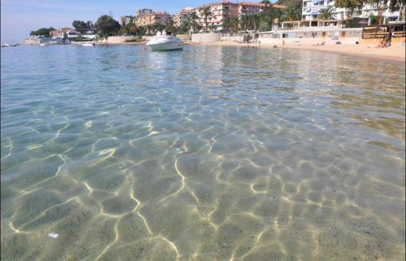 Ajaccio Magnifique T2 37M2 Centre Ville Vue Mer Au Bord De La Plage Neuf 4 Couchages Balcon Parking Prive Ferme Clim Wifi Экстерьер фото